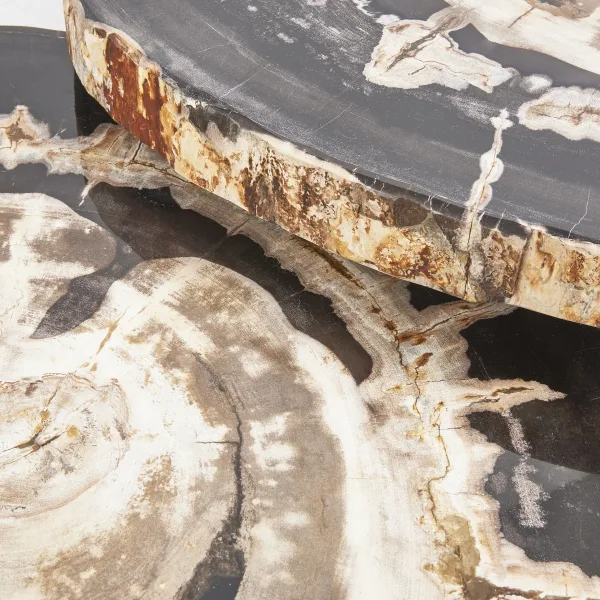 Two Part Petrified Wood Trunk Coffee Table