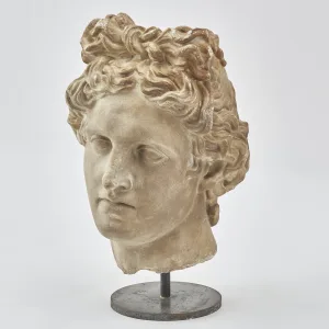 Plaster Bust Of Apollo