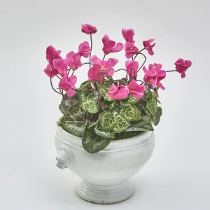 French Faience De Dijon Bowl Planted With Pink Cyclamen