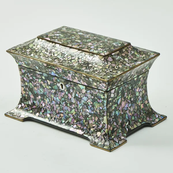 Rare Mother Of Pearl Inlaid Papier Mache Tea Caddy